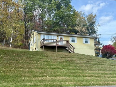 223 Jamaica Boulevard Endicott NY 13760