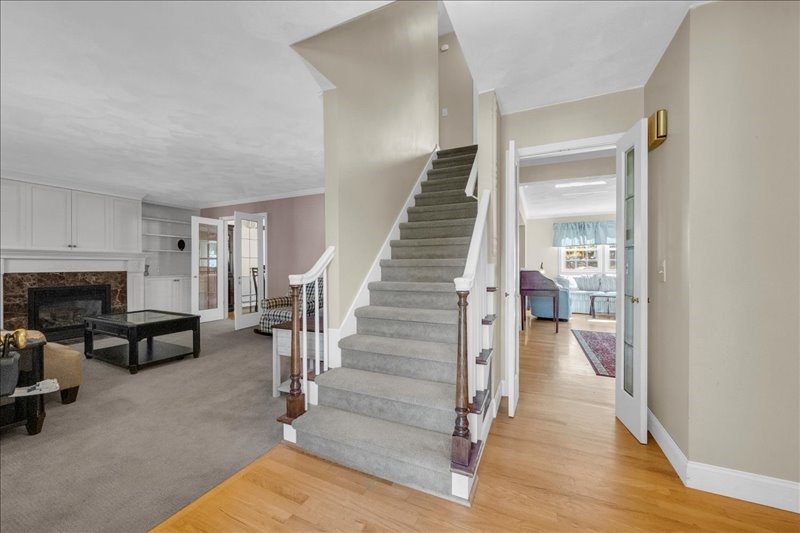 71 Elmwood Drive