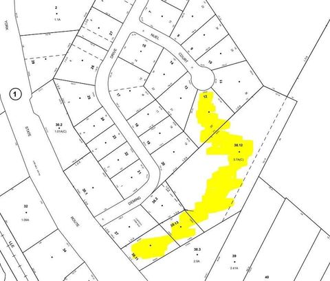 Vacant Land For Sale - Nuel Ct & Rt. 17c<br/> Tioga County, Owego, NY 13827