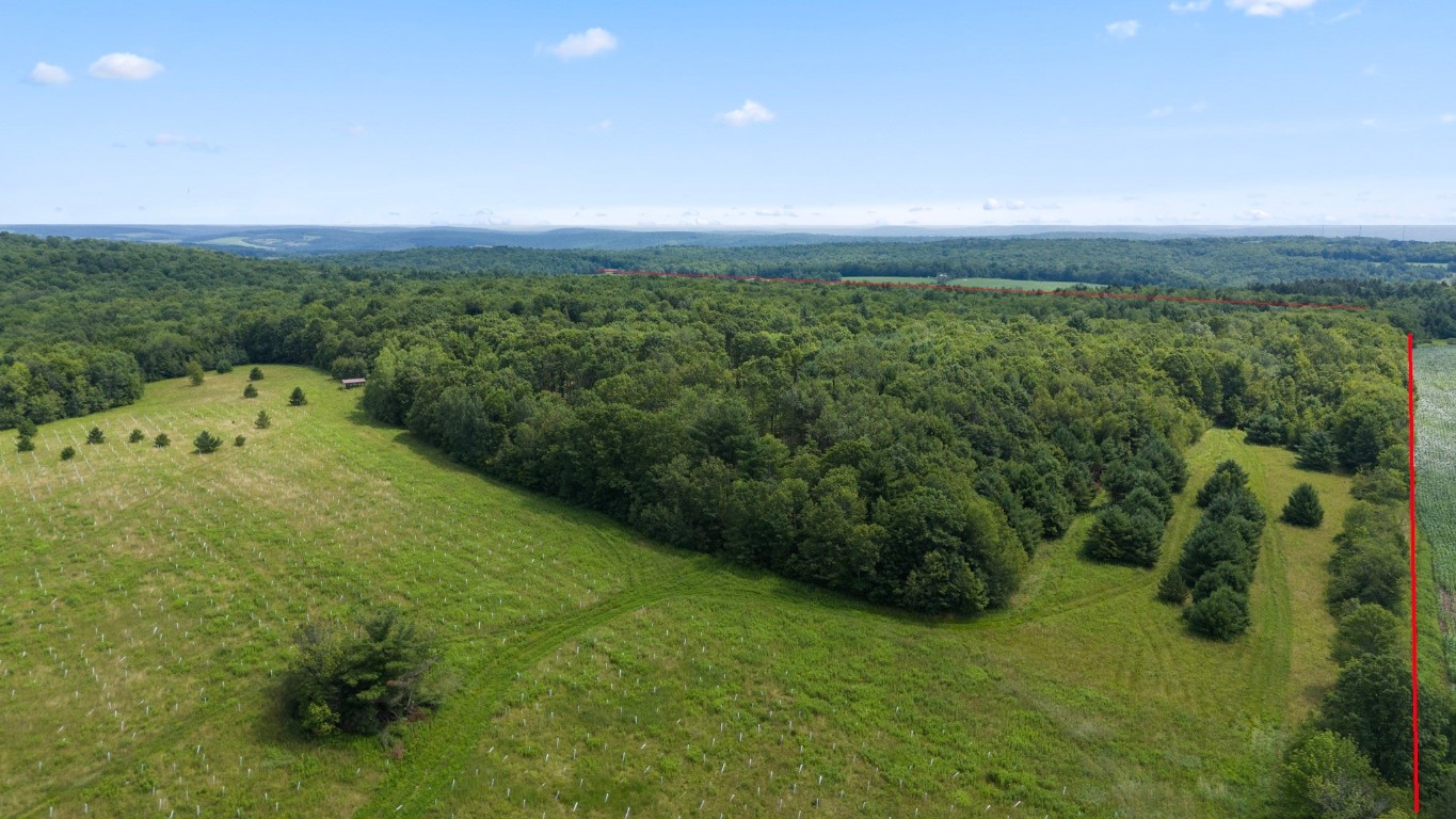 180 Jennings Road, Lisle, New York image 9