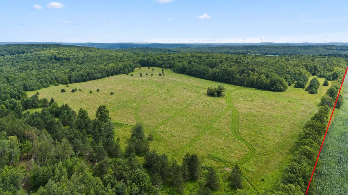 180 Jennings Road, Lisle, New York image 7