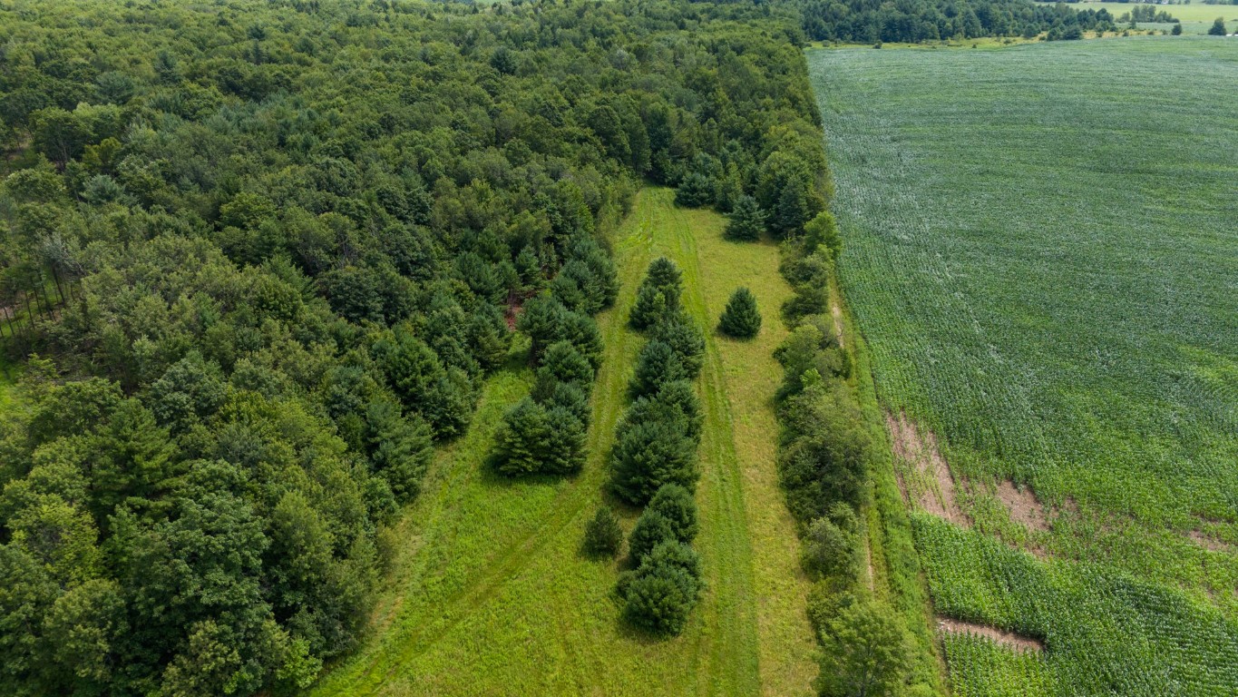 180 Jennings Road, Lisle, New York image 12