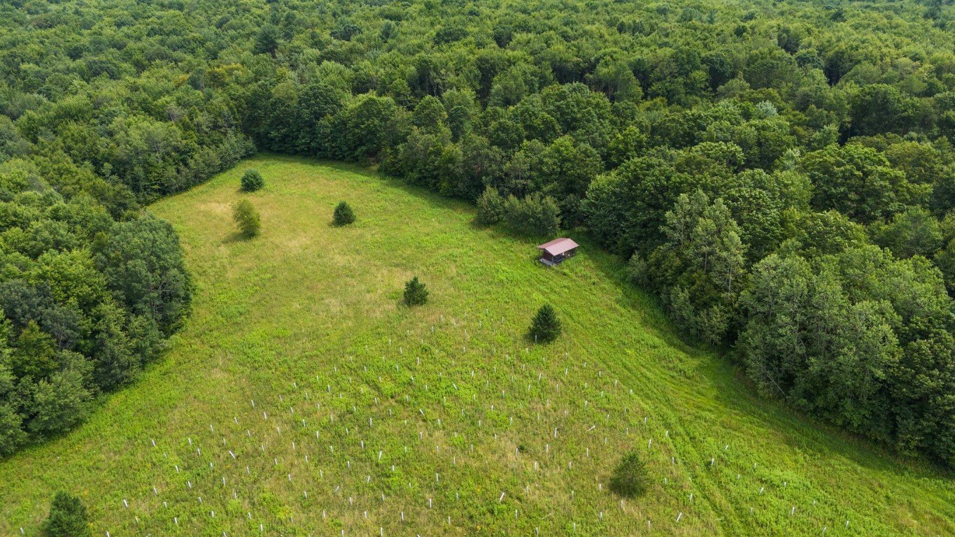 180 Jennings Road, Lisle, New York image 10