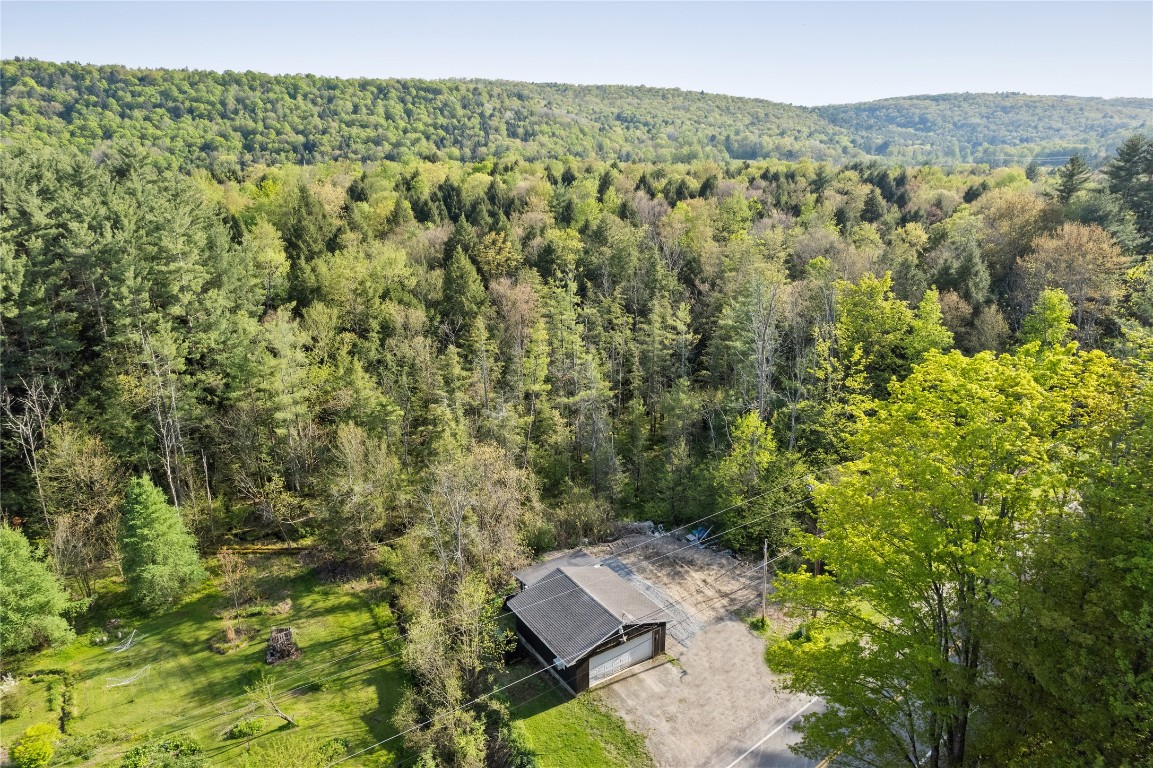 1324 Halsey Road, Barton, New York image 4