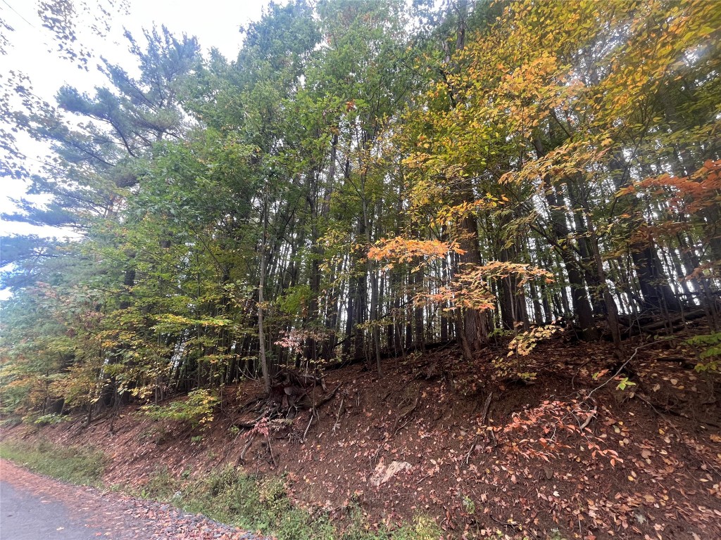 0 Middle Road - Photo 4