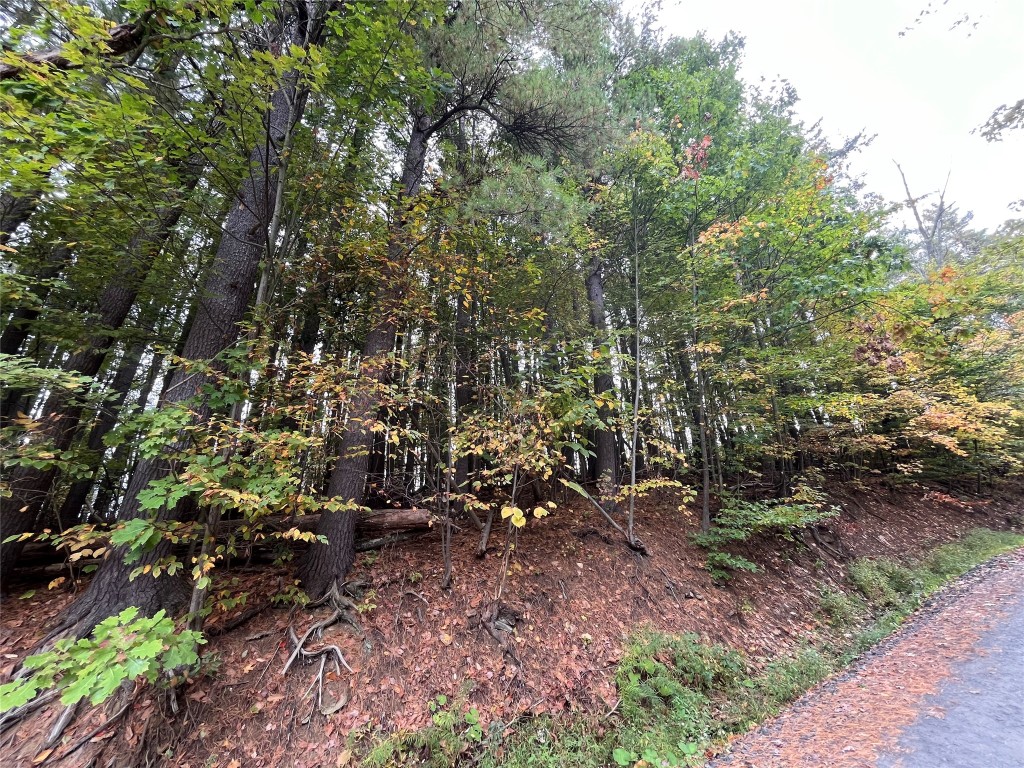 0 Middle Road - Photo 3