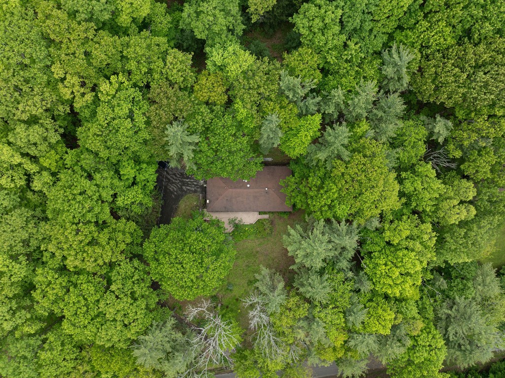75 Noyes Road, Vestal, New York image 33