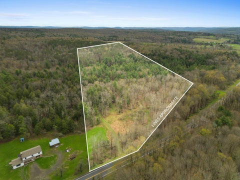 Vacant Land For Sale - 00 Ny 235<br/> Greene, NY 13778