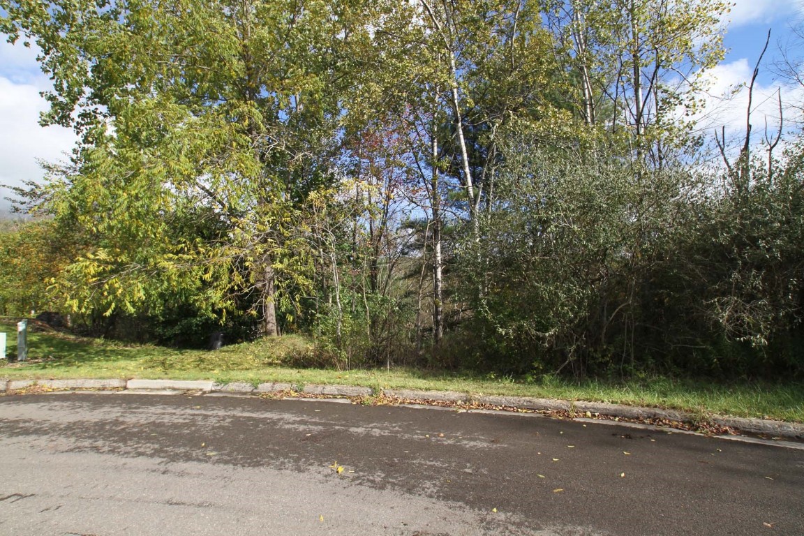 1201 Lot # 2 Domenica Drive, Endicott, New York image 1