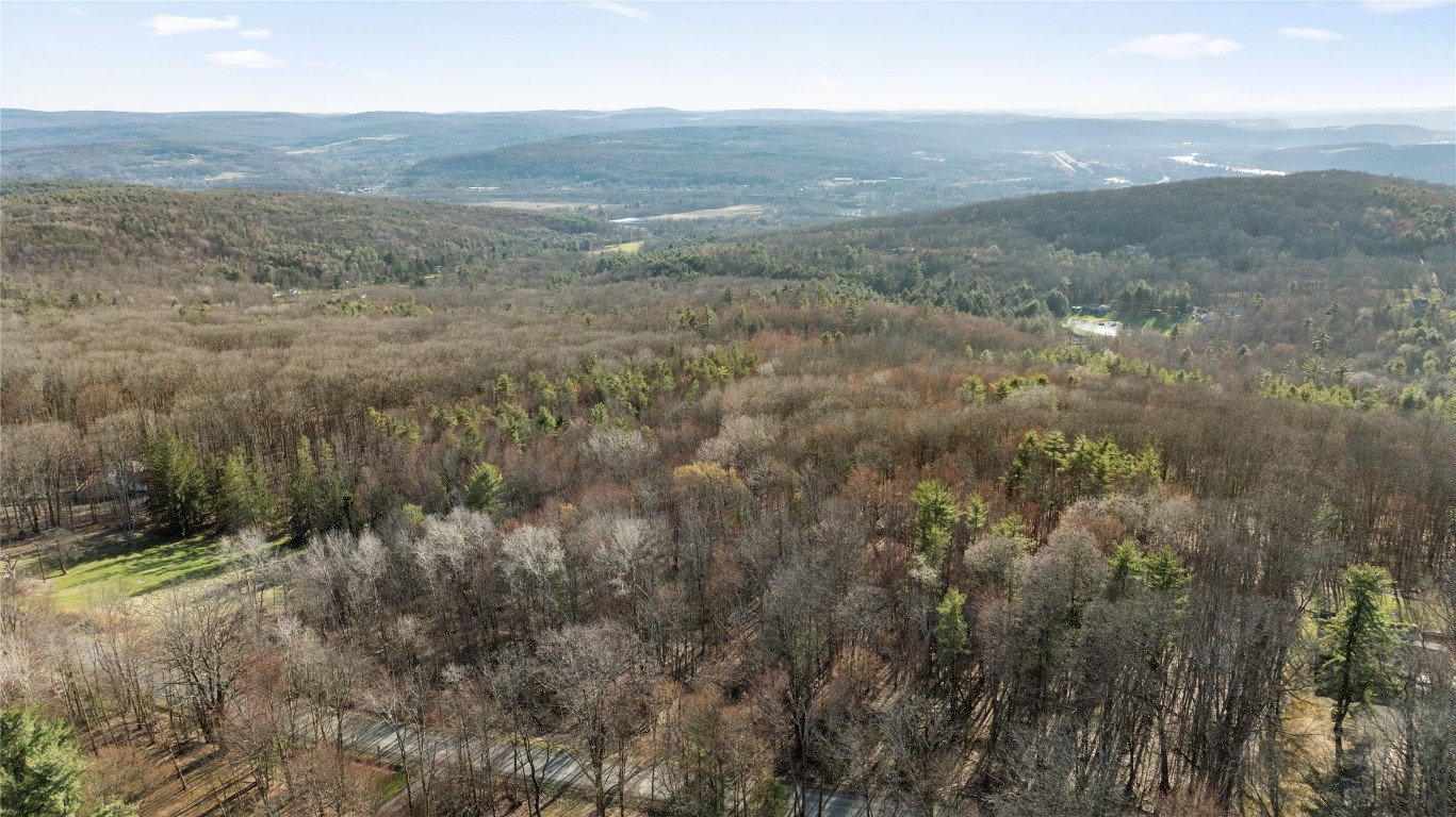 N Cafferty Road, Endicott, New York image 8