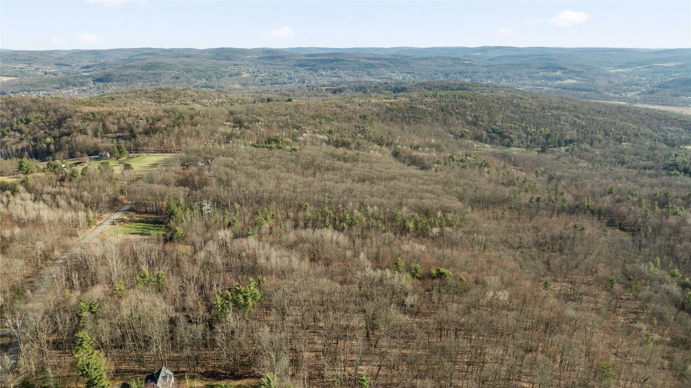 N Cafferty Road, Endicott, New York image 7
