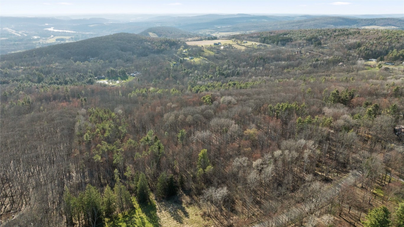 N Cafferty Road, Endicott, New York image 3