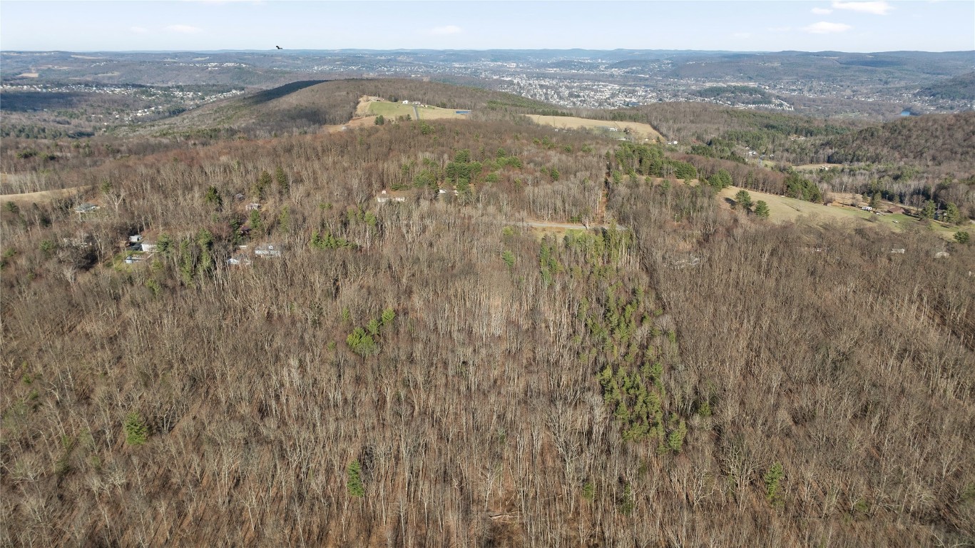 N Cafferty Road, Endicott, New York image 5