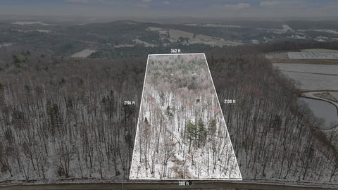 Vacant Land For Sale - 00 Lamb Road<br/> Newark Valley, NY 13811