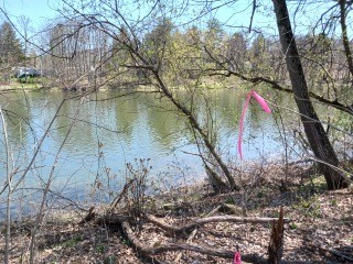 1320-B River Rd, Binghamton, New York image 3