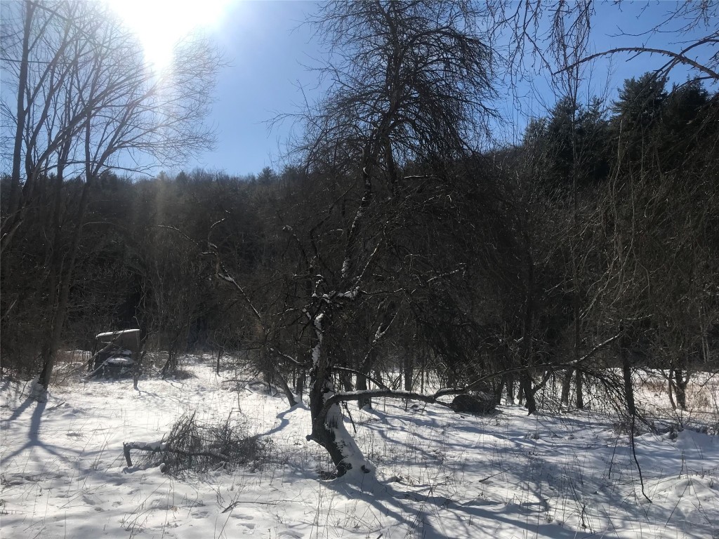 153 W Chenango Road, Castle Creek, New York image 4