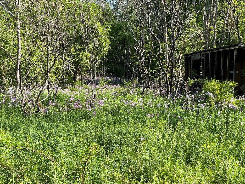 153 W Chenango Road, Castle Creek, New York image 8
