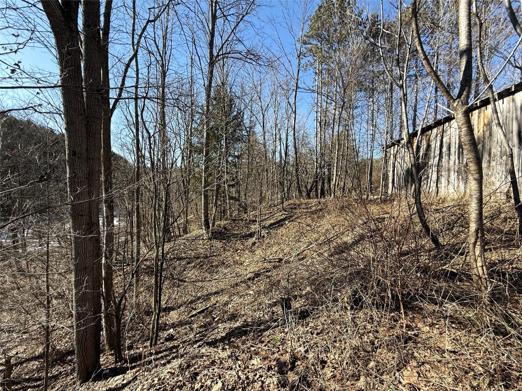 153 W Chenango Road, Castle Creek, New York image 12