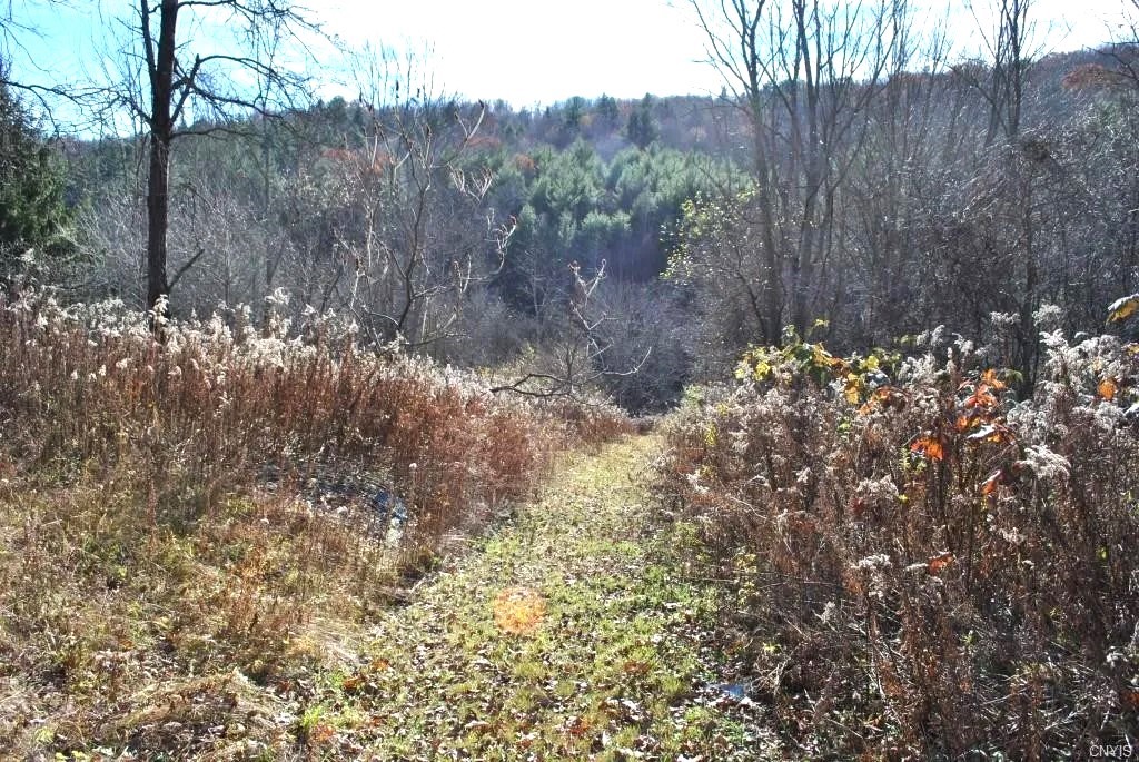 153 W Chenango Road, Castle Creek, New York image 13