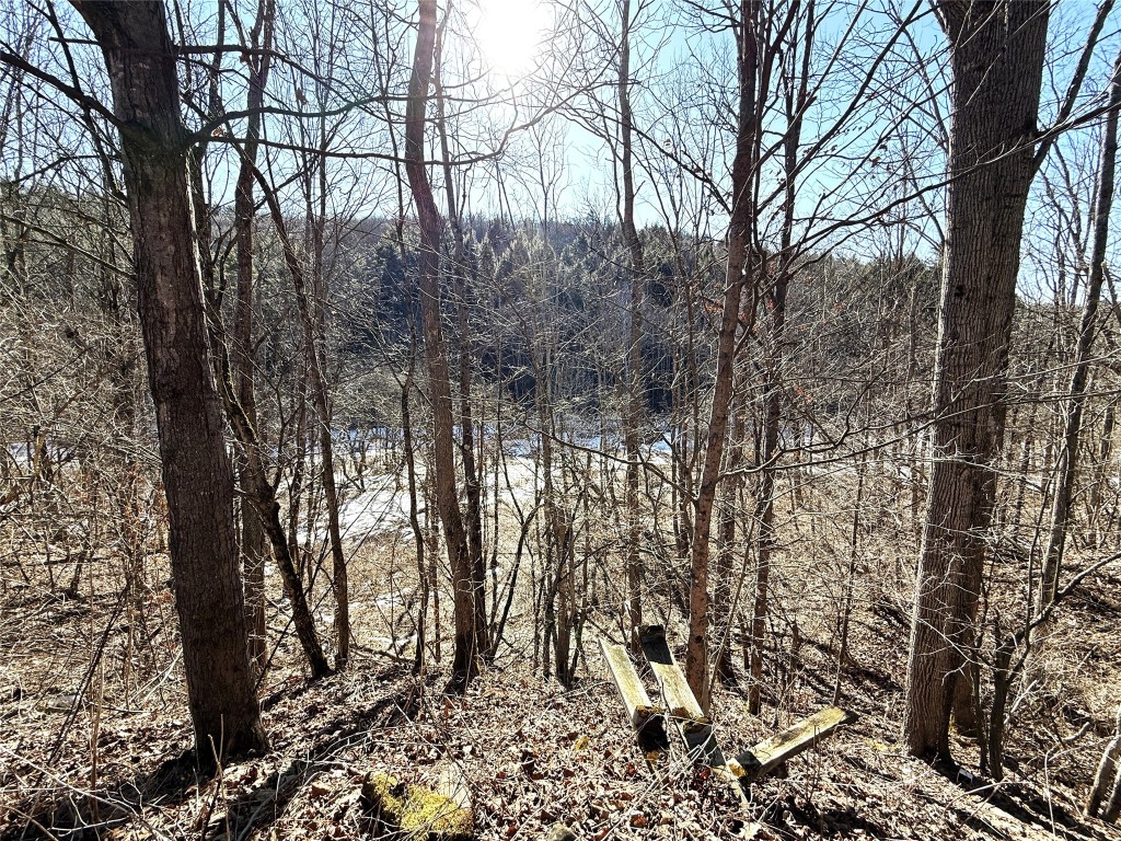 153 W Chenango Road, Castle Creek, New York image 11