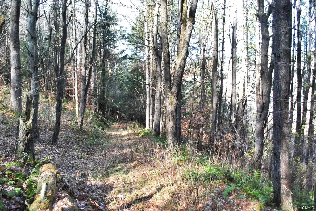 153 W Chenango Road, Castle Creek, New York image 16