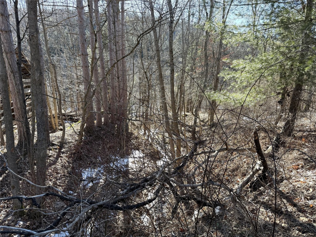 153 W Chenango Road, Castle Creek, New York image 14