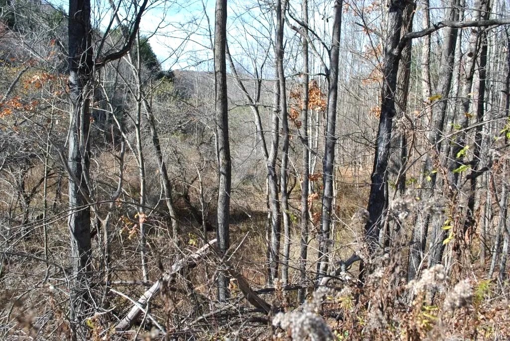 153 W Chenango Road, Castle Creek, New York image 10