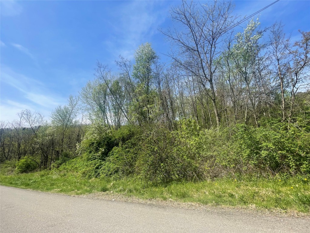 445 Miller Beach Rd, Owego, New York image 1