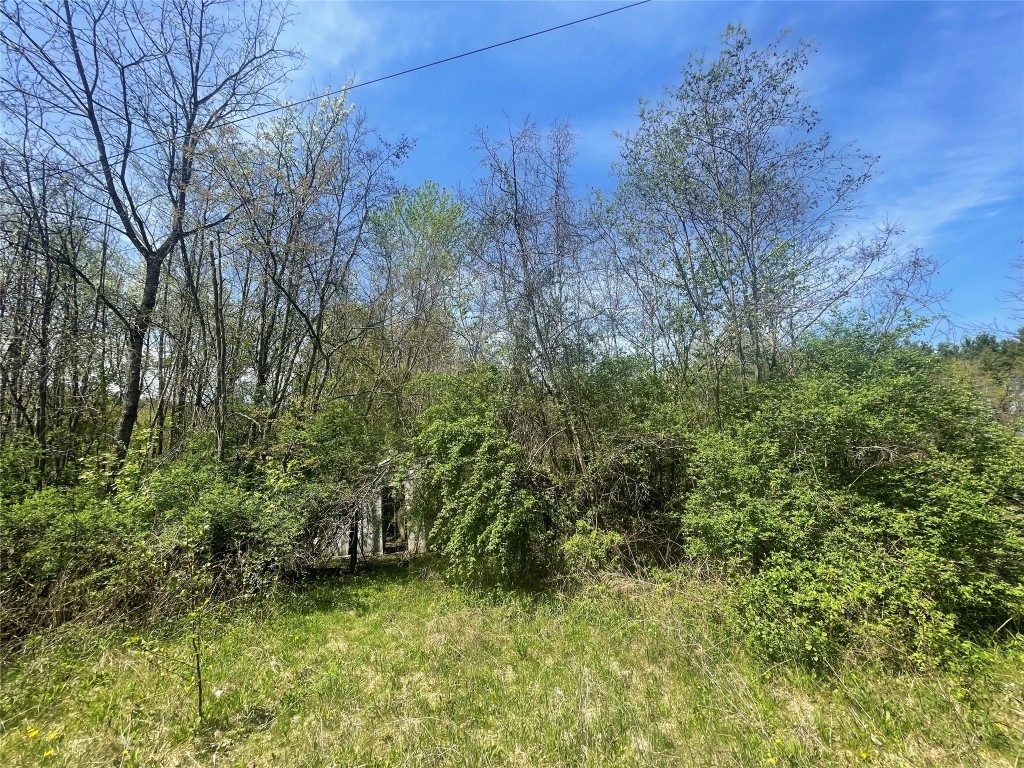 445 Miller Beach Rd, Owego, New York image 5