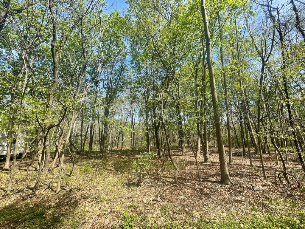 445 Miller Beach Rd, Owego, New York image 7