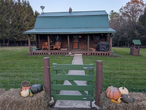 Homes For Sale - 522 Cascade Road<br/> Windsor, NY 13865