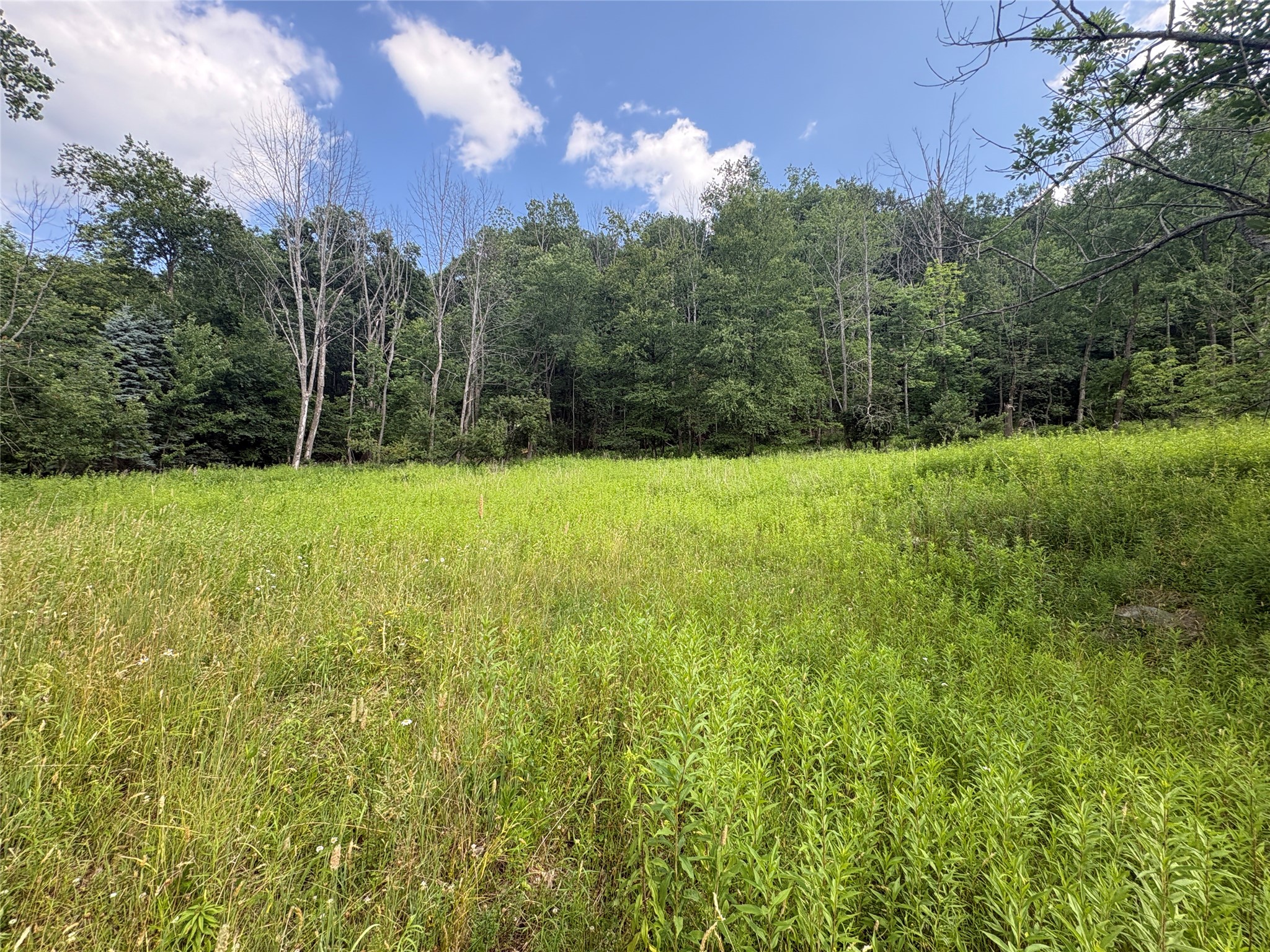 Photo 1 of 3 — 1305 Holly Hill Rd, Vestal, NY 13850