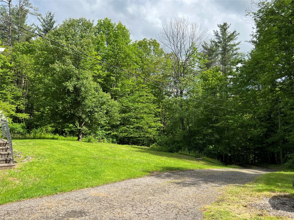 147 Beartown Road, Port Crane, New York image 11