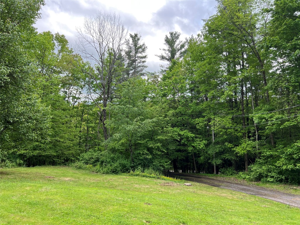 147 Beartown Road, Port Crane, New York image 10
