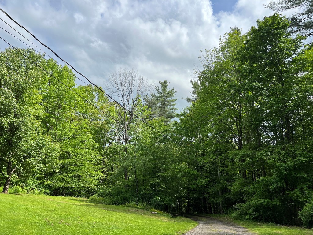147 Beartown Road, Port Crane, New York image 9