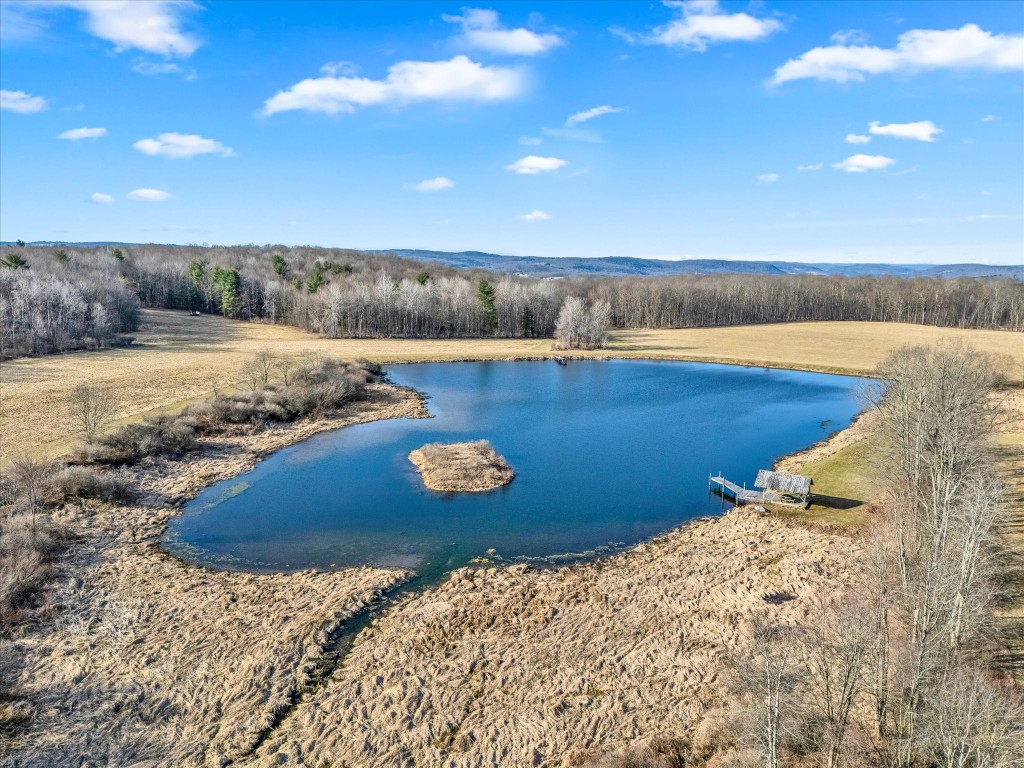 291 Bradley Road, Oxford, New York image 45