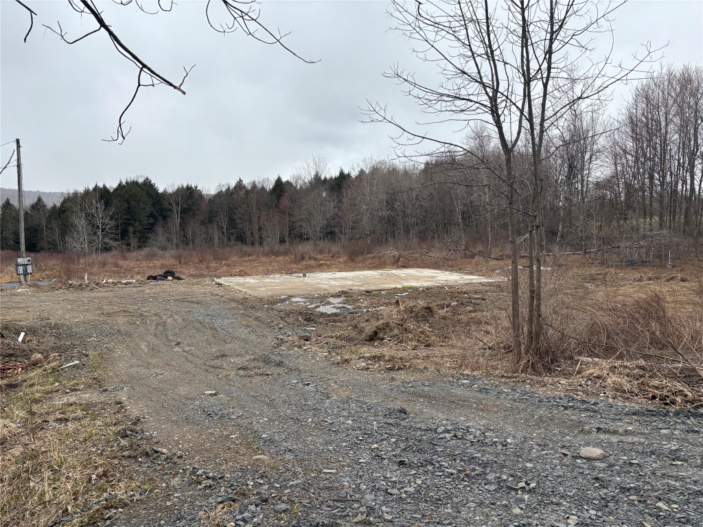 381 Eggleston Road, Whitney Point, New York image 8