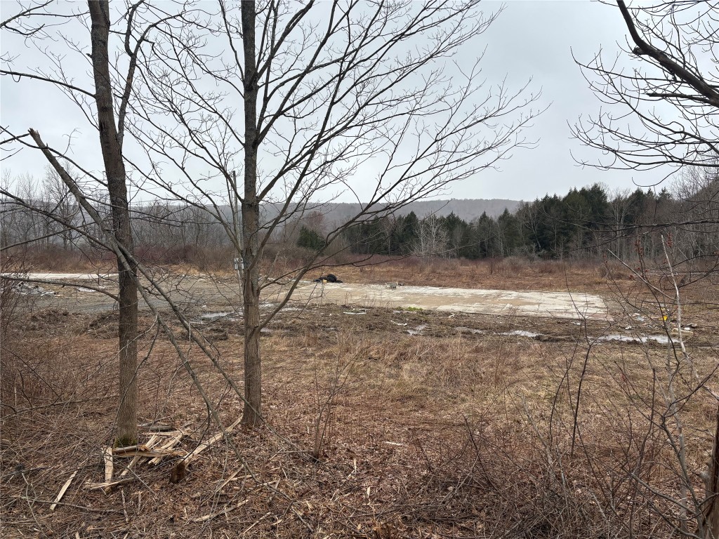 381 Eggleston Road, Whitney Point, New York image 6