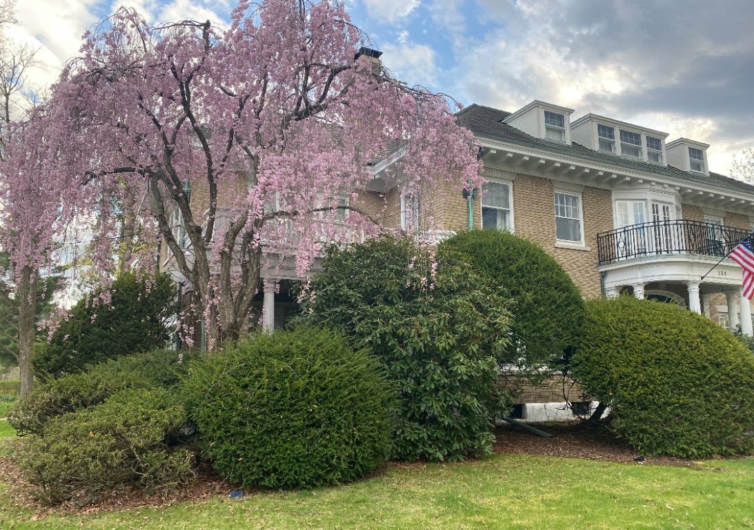 135 Riverside Drive, Binghamton, New York image 49