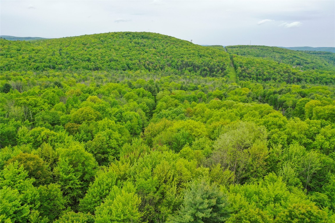 766 Jensen Road, Vestal, New York image 10