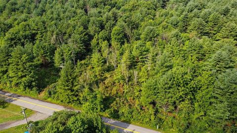 Vacant Land For Sale - 313 South Street<br/> Chenango Forks, NY 13746