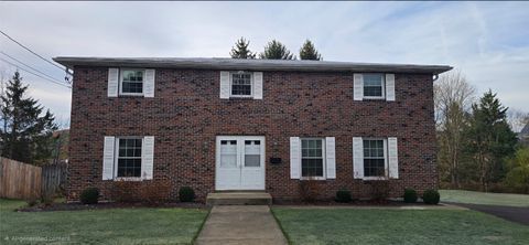 Homes For Sale - 205 Oscar Terrace<br/> Endicott, NY 13760