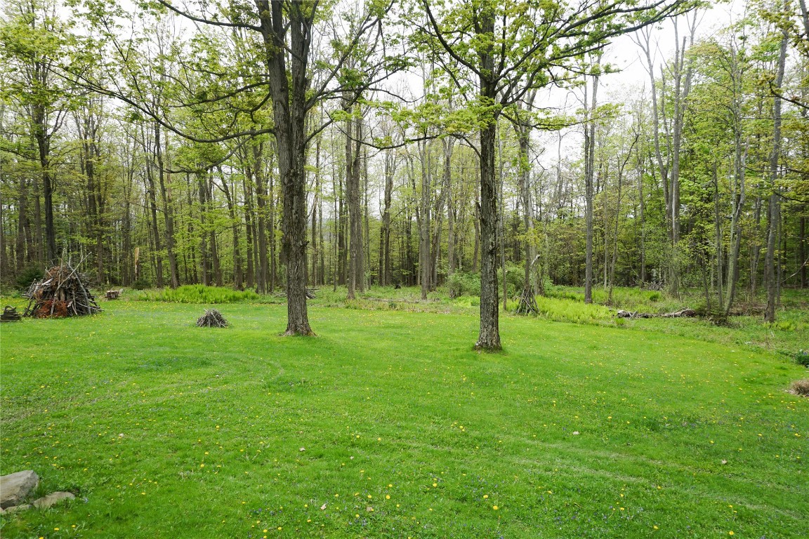 2153 Farm To Market Road, Johnson City, New York image 43