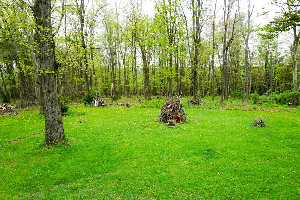 2153 Farm To Market Road, Johnson City, New York image 46