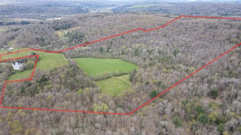 Vacant Land For Sale - 124 Page Rd<br/> Chenango Forks, NY 13746