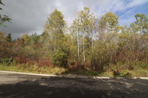 Vacant Land For Sale - 1266 LOT 73 Domenica Drive<br/> Endicott, NY 13760
