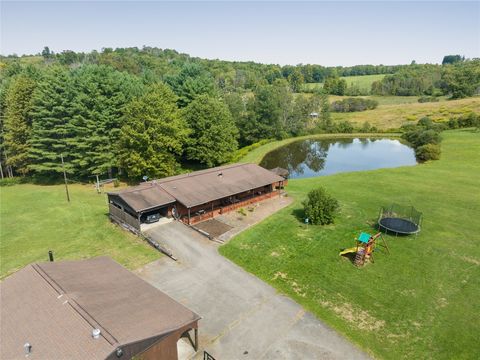 438 Honeypot Road Candor NY 13743