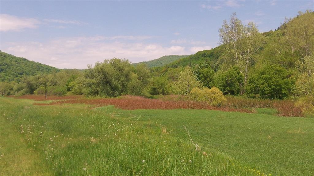 Old Road, EAST BRANCH, New York image 2