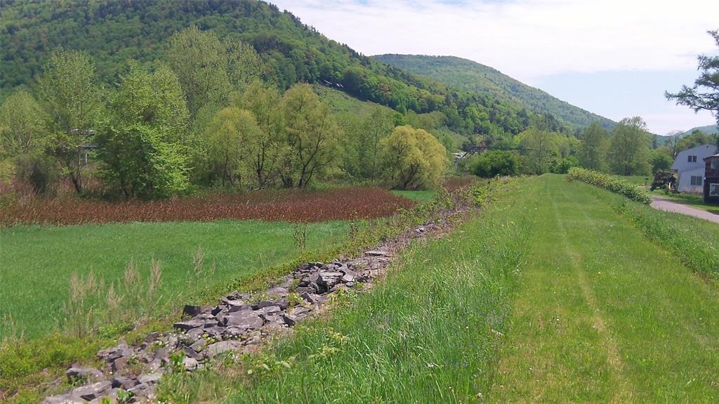 Old Road, EAST BRANCH, New York image 3