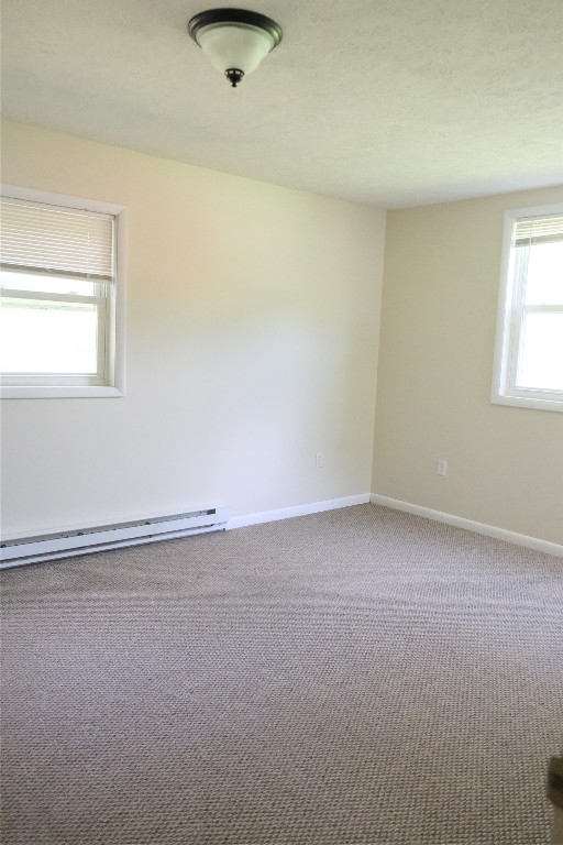 5 Ithaca Street, Waverly, New York image 19